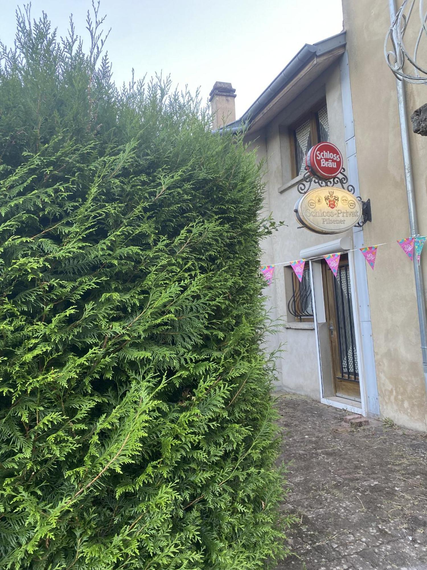 Villa L'Industrie de Marie - Comme à la Guinguette ! à Hombourg-Haut Extérieur photo